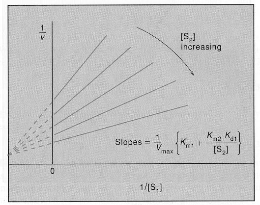 kinetik formül ve grafikler
