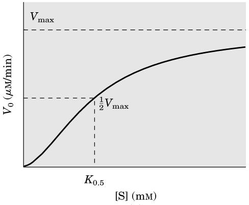 Bir allosterik enzim vasıtasıyla katalizlenen reaksiyonun yarı maksimal hızını