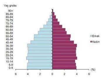 12 5. GENEL VERİLER VE BÖLGE VERİLERİ 5.1. Demografik Veriler İçişleri Bakanlığı Nüfus ve Vatandaşlık İşleri Genel Müdürlüğü (NVİGM) tarafından güncellenen Adrese Dayalı Nüfus Kayıt Sistemi (ADNKS)