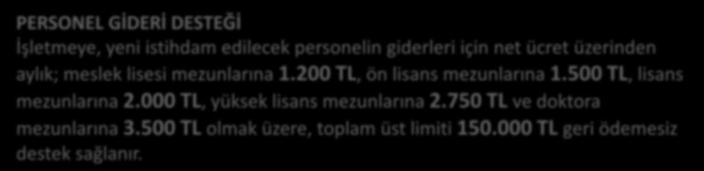 000 TL olmak üzere, geri ödemesiz desteğin limitleri dâhilinde desteklenir.