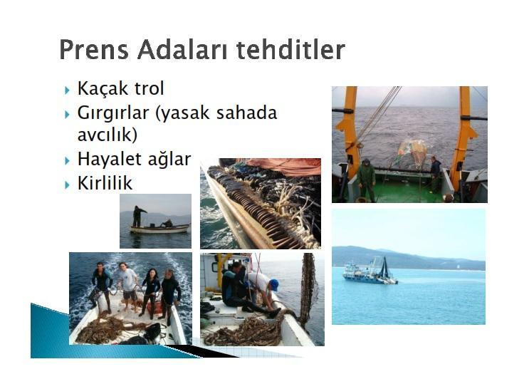İstanbul Adaları denizel çevresinin terk edilmiş av araçlarından temizlenmesi çalışması (Dr.Taner Yıldız, İ.Ü.