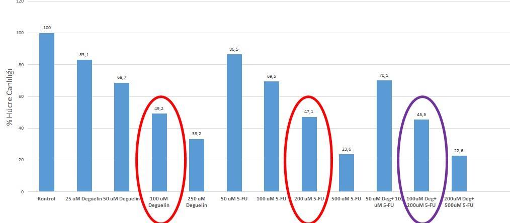 Çizelge 2. Dozlara göre 48 saat sonunda elde edilen sonuçlar. Çizelge 3. Dozlara göre 72 saat sonunda elde edilen sonuçlar.