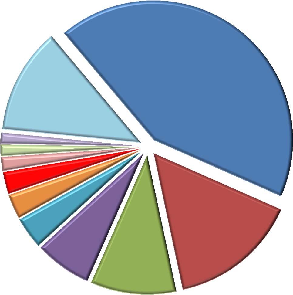 Dünya Pazarında TÜRKİYE Ülke MW Yüzde Çin 23.328 42,7 Kanada Diğer Çin ABD 8.203 15,0 Almanya 5.443 10,0 Hindistan 3.612 6,6 İngiltere Brezilya 2.014 3,7 Hollanda Türkiye Fransa 1.