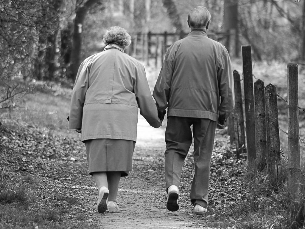 Yaşlıların üretkenliği arttırılarak yaşlılara uygun aktiviteler ile yaşlının sosyalleşmesi sağlanarak meşguliyet terapisi yapılmalıdır.