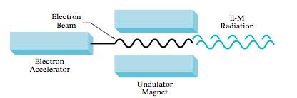 FEL FEL - Free Electron Laser Elektron demeti Elektromagnetik ışıma Elektron hızlandırıcısı Salındırıcı magnet SASE FEL prensibinin çizimsel gösterimi.