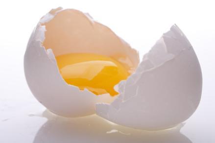 : Civcivler yumurtadan çıkar. Halil Deniz E. : Yumurtaların içinden dinozor çıkar. İpek Y. : Yumurtaların içinden civciv çıkar.