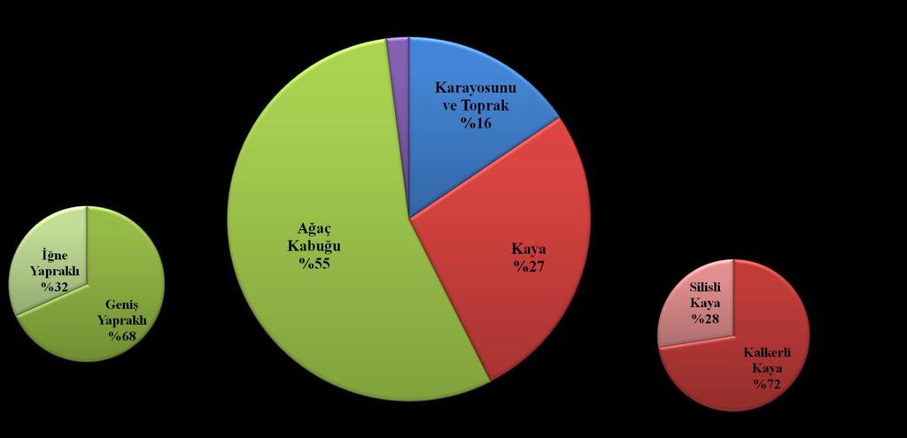 89 Substrat çeşitliliği liken çeşitliliğini etkileyen en önemli faktörlerden biridir. Substratlarına bakarak değerlendirecek olursak, araştırma alanında en fazla kortikol likenler yer almaktadır.