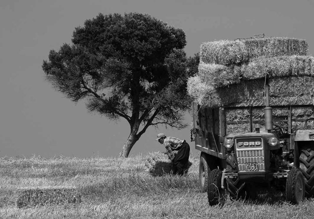 Milli Tarım Projesi ile ilgili yapılan açıklamalarda, 184 ovanın sit alanı ilan edileceği yönündeki ifadelerle, böyle bir çalışmanın bu proje kapsamında yapılacağı gibi bir intiba yaratılmak istense