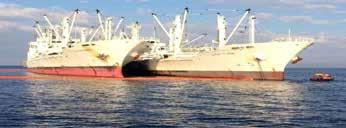 Soruşturma sürerken, 3 Ocak ta geminin ambarlarındaki orkinoslar, Tuna Princess adlı gemiye aktarılmıştır.