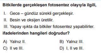 1. Besin zincirindeki üretici-tüketici-ayrıştırıcı ilişkisini