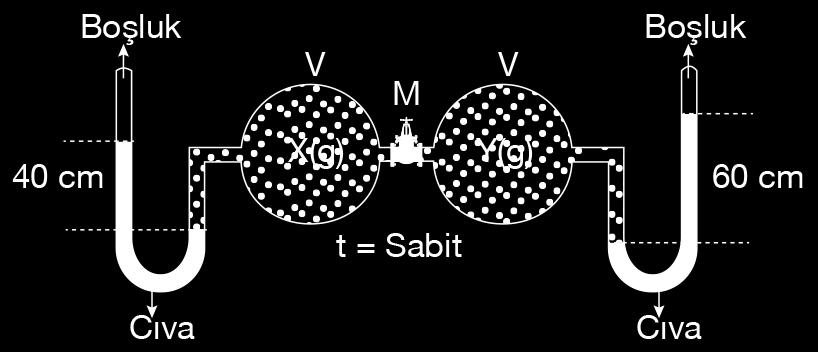 5. Bölüm Kavrama Soruları 6. 3. ÜNİTE: GAZLAR Yukarıdaki sistemde sabit sıcaklıkta M musluğu açılıp yeterince bekleniliyor. a) X gazının kısmi basıncı kaç atm olur?