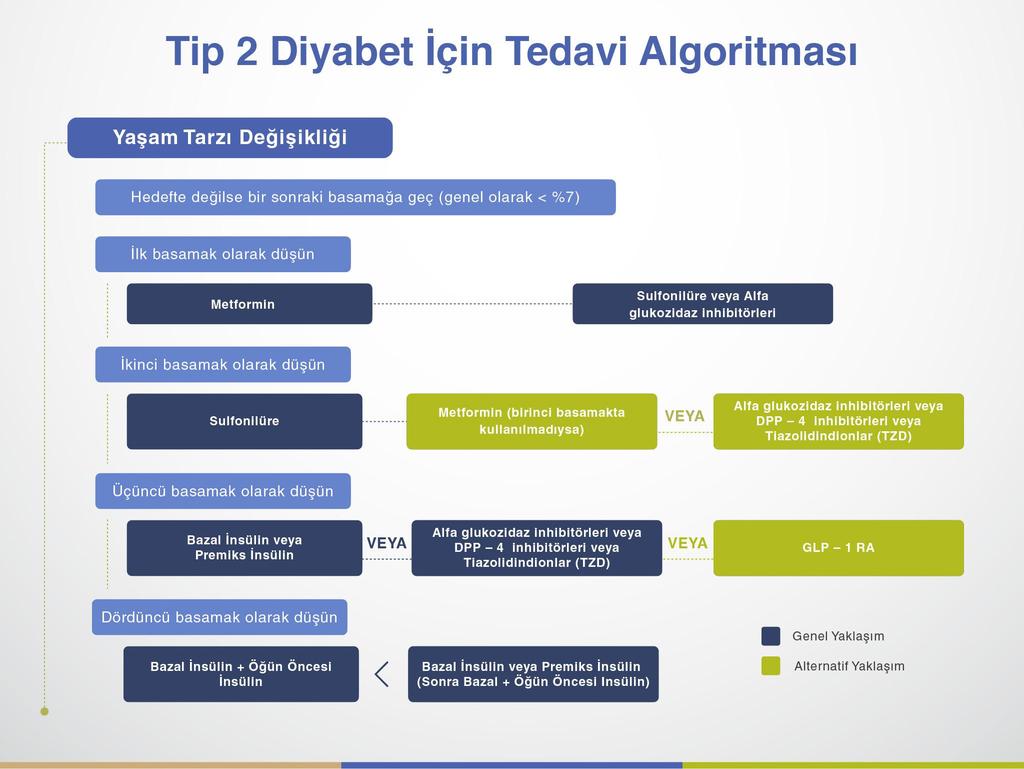 IDF Tip 2 DM