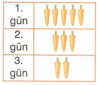 8.Tavşan birinci gün 6