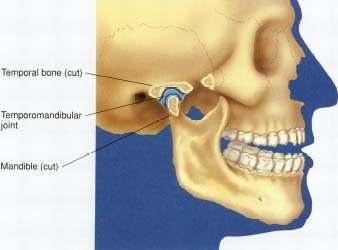 1 1.GĐRĐŞ Temporomandibular eklem (TME), dış kulak yolunun önünde, masseter bölgesinin arka üst tarafında, mandibulanın processus condylarisi ile temporal kemiğin fossa articularisi arasında bulunan,