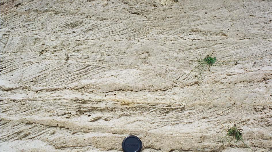 Şekil 2.9: Küçükçekmece Gölü yakınındaki bir kum ocağından alınan, Çukurçeşme formasyonuna ait çapraz katmanlı kum düzeylerinden bir görüntü (İ.B.B. Deprem ve Zemin İnceleme Müd.