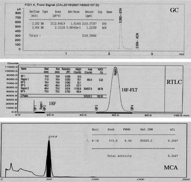 15 Sonuç: Bu çalışma ile timidin metabolizmasının değerlendirilerek in-vivo hücre proliferasyonun görüntülenmesinde bir PET radyofarmasötiği olan F-18-FLT nin, ruhsatlandırma gereklilikleri