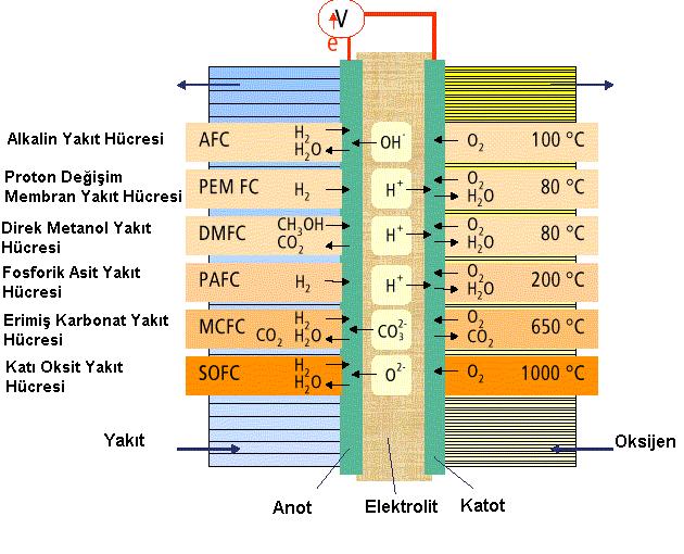 18 Şekil 2.3.Yakıt hücresi türleri 2.5.1.Alkali yakıt hücreleri Bu tip yakıt hücrelerinde sulandırılmış potasyum hidroksit elektrolit olarak kullanılmaktadır.