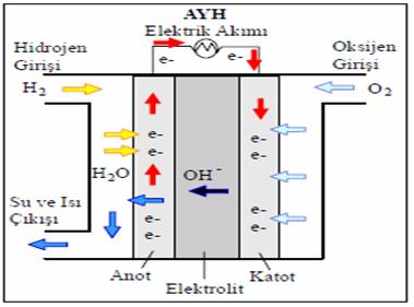 19 Şekil 2.4.Alkali yakıt hücresi çalışma prensibi Reaksiyon sonucu oluşan su elektrolitten buharlaştırılarak yada ayrı bir evaparatör ile elektrotlardan buharlaştırılarak uzaklaştırılmaktadır.
