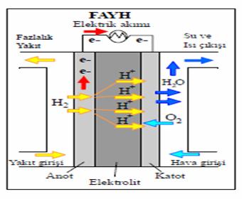 24 Şekil 2.6.Fosforik asit yakıt hücresi çalışma prensibi Fosforik asit, elektrotlar arasında gözenekli bir tabakada sabitlenmiştir.