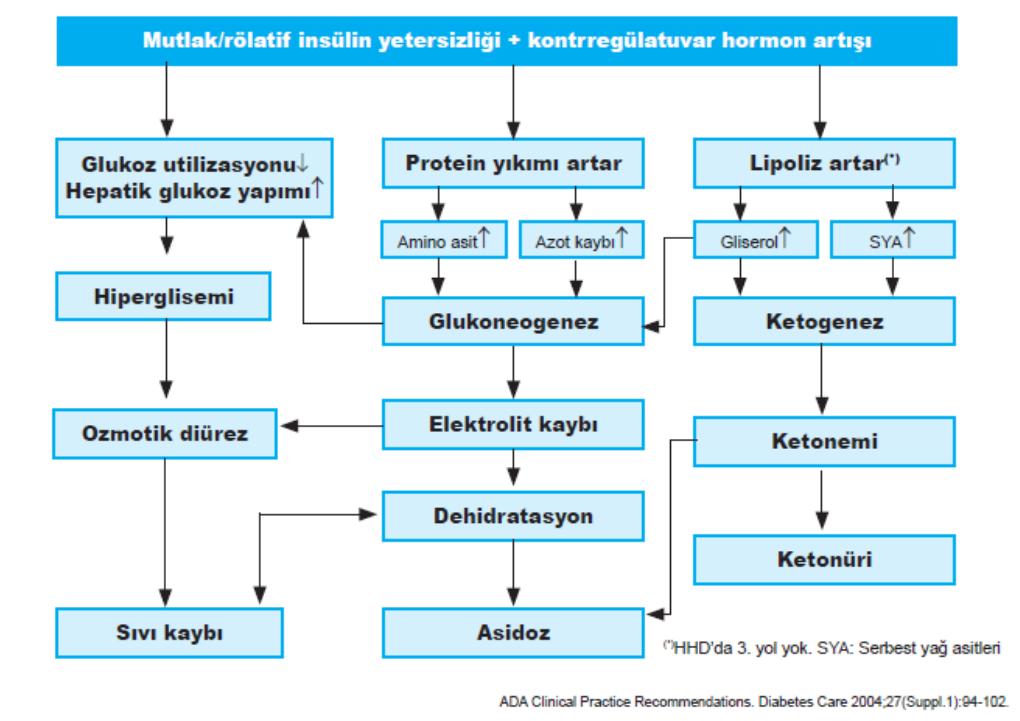 Hipergliseminin