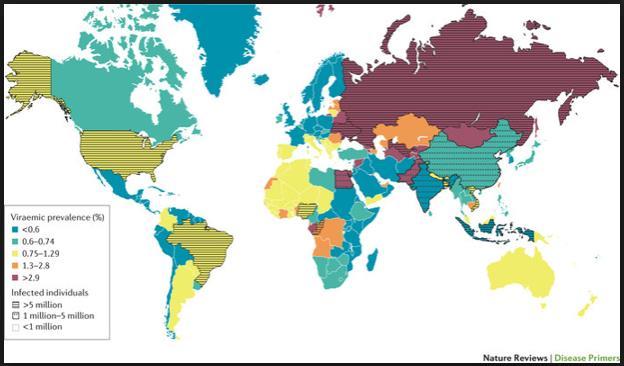 GLOBAL VİREMİK PREVALANS Hepatitis C virus infection. Michael P.