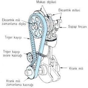 3- Triger (Dişli kayış) Kayışı Bu günkü üstten kam milli I-Tipi motorlarda, kam miline hareket vermek için iç tarafına diş açılmış, sentetik kauçuktan yapılmış zaman ayar kayışları kullanılmaktadır.