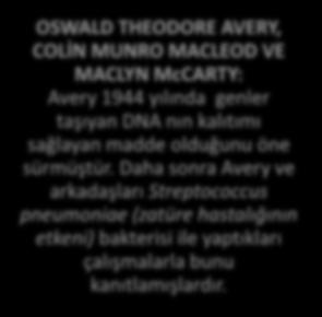 OSCAR HERTWİG: 1884 te nükleik asitlerin,