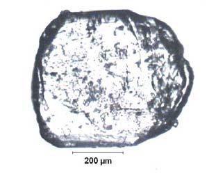 EK A.62 ablo A.62: Na 2 O/B 2 O 3 =0.94 Olan Çözeltide 26.92 C için Belirlenen Büyüme Hızı D-62.1 26.44 1.