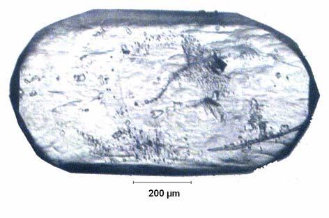 EK B.28 ablo B.28: Na 2 O/B 2 O 3 =0.3 Olan Çözeltide 28.02 C için Belirlenen Büyüme Hızı D-95.