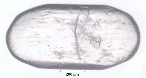 EK B.42 ablo B.42: Na 2 O/B 2 O 3 =0.3 Olan Çözeltide 37.04 C için Belirlenen Çözünme Hızı D-109.