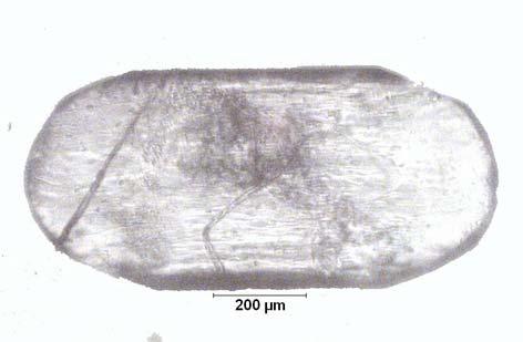 EK C.10 ablo C.10: Na 2 O/B 2 O 3 =0.5 Olan Çözeltide 29.48 C için Belirlenen Büyüme Hızı D-129.