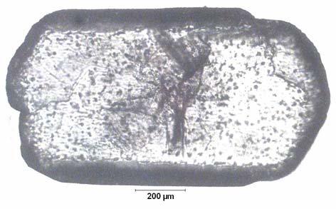 EK C.14 ablo C.14: Na 2 O/B 2 O 3 =0.5 Olan Çözeltide 29.76 C için Belirlenen Büyüme Hızı D-133.