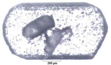 EK C.18 ablo C.18: Na 2 O/B 2 O 3 =0.5 Olan Çözeltide 29.98 C için Belirlenen Büyüme Hızı D-137.1 29,96 3,75377 6,92 0 0,00 0,00 D-137.