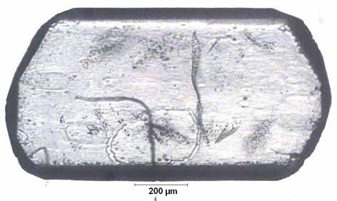 EK C.26 ablo C.26: Na 2 O/B 2 O 3 =0.5 Olan Çözeltide 27.04 C için Belirlenen Büyüme Hızı D-145.