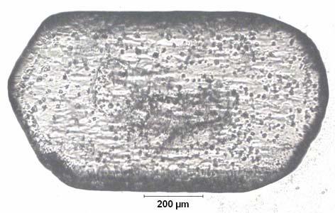 EK C.38 ablo C.38: Na 2 O/B 2 O 3 =0.5 Olan Çözeltide 35.07 C için Belirlenen Çözünme Hızı D-157.