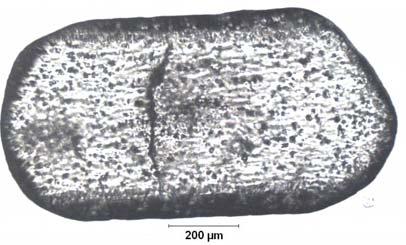 EK C.40 ablo C.40: Na 2 O/B 2 O 3 =0.5 Olan Çözeltide 35.96 C için Belirlenen Çözünme Hızı D-159.