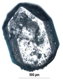 90 olan çözeltiden kesikli kristalizasyon deneylerinde elde edilen kristallerin mikroskop resimleri (a-c:500