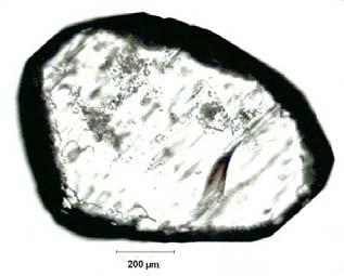 EK A.14 ablo A.14: Na 2 O/B 2 O 3 =0.94 Olan Çözeltide 29.84 C için Belirlenen Büyüme Hızı G, D D-14.1 29.98 3.32991 6.51 0 0.00 0.00 D-14.2 29.65 3.36041 6.54 240 2.98 1.24 D-14.3 29.80 3.40835 6.