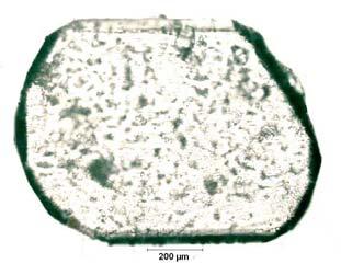 EK A.34 ablo A.34: Na 2 O/B 2 O 3 =0.94 Olan Çözeltide 30.94 C için Belirlenen Büyüme Hızı G, D D-34.1 31.