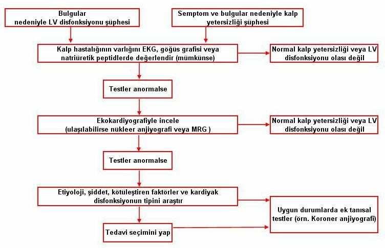 Şekil 3. Kalp Yetersizliği Tanı Algoritması. 19 2.1.5.1. Öykü ve Fizik Bakı Kalp yetersizliği klinik bir tanıdır.