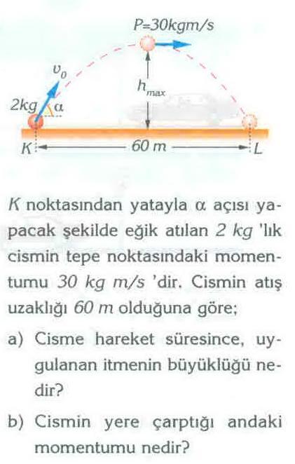 6) Cevap: