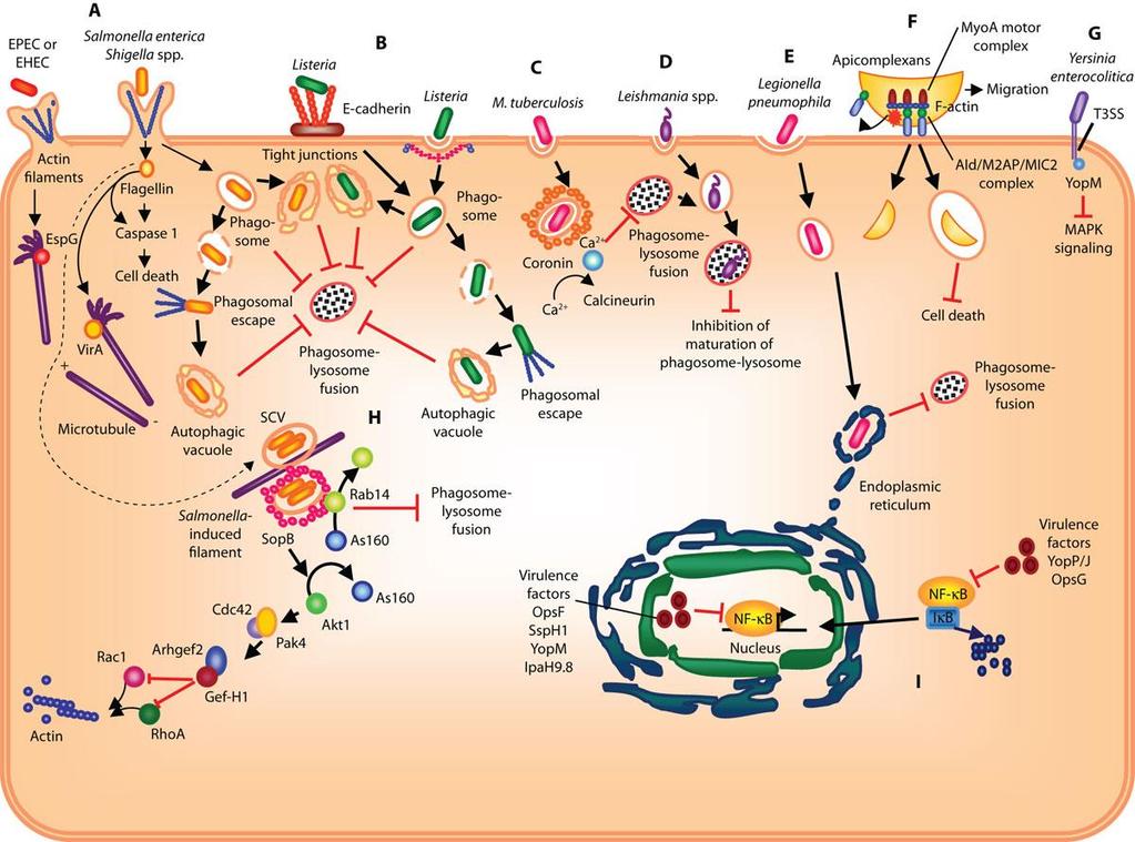 http://stke.sciencemag.