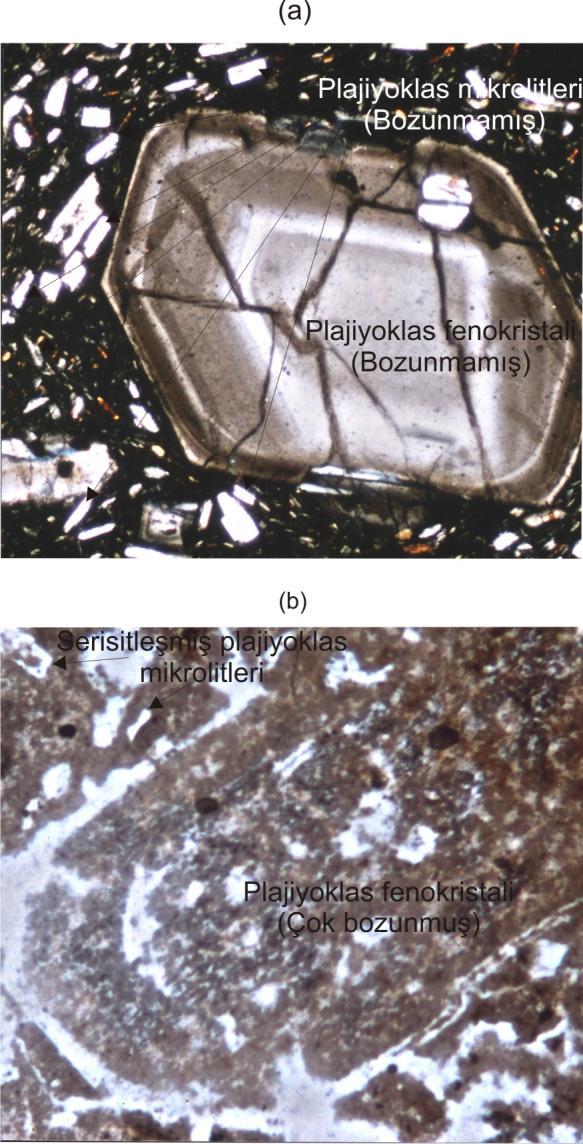 Çizelge 2. Plajiyoklas fenokristallerinin ve mikrolitlerinin bozunma derecelerine göre bozunma şiddetindeki artışlar.