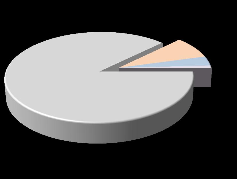 Yolcu 87% Gelir Dağılımı Kargo 9% Diğer 4% İç Hat 14% Bölgesel Gelir* Dağılımı Orta Doğu 15% Özel Uzak Doğu Kira 23% 0%