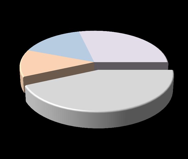 Döviz Bazında Gelirler Döviz Bazında Giderler TL 11% USD