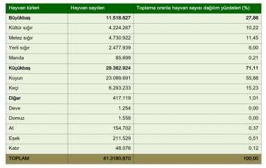 Hayvancılık sektörünün atık potansiyeline bakıldığında ise yılda ortalama 121 milyon ton organik atığın çevre dostu yaklaşımlarla idaresinin yapılması gerekliliği