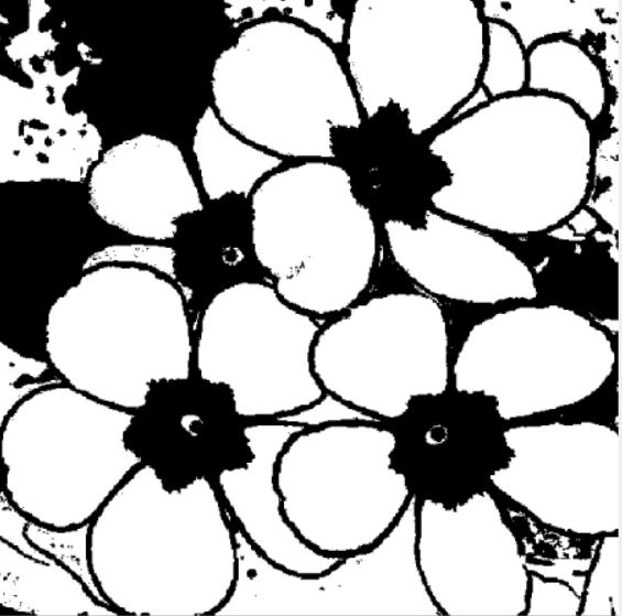 c) 200 eşik değeri ile siyah beyaz yapıldı d) Her yaprak alanı ayrı tespit edild.