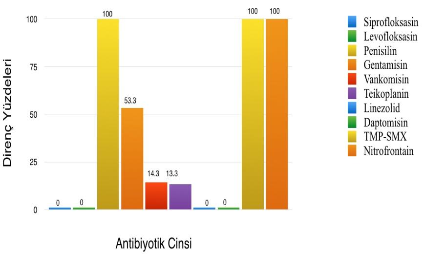 ŞEKİL-8: Enterococcus faecalis izolatlarında antibiyotik direnç oranları