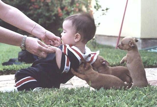 BİRLEŞİK YÖNTEM; Eş eklem sınırına kadar sporcunun kol yada bacaklarını büker. Ayrıca bu eş sporcunun etkinliklerinde doruk düzeyde izometrik kasılmaları uygular.