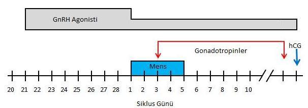 Şekil 2.